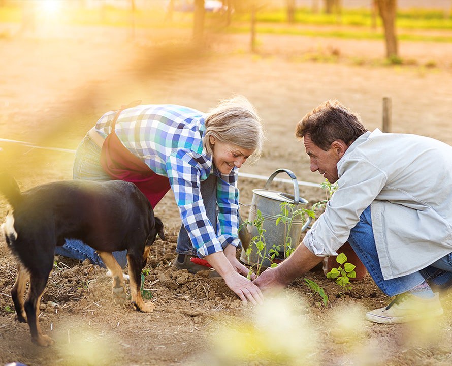 gardening_with_dog-min